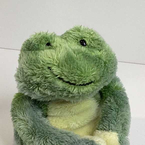 🍄 GUND Kids Magnetic Frog - Picture 3 of 11